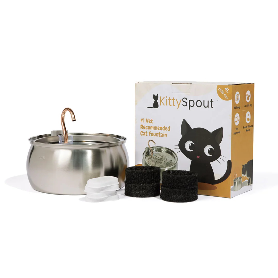 Our Best Selling Cat Kit's